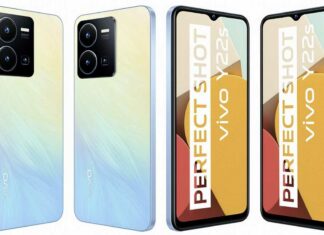 vivo y22s