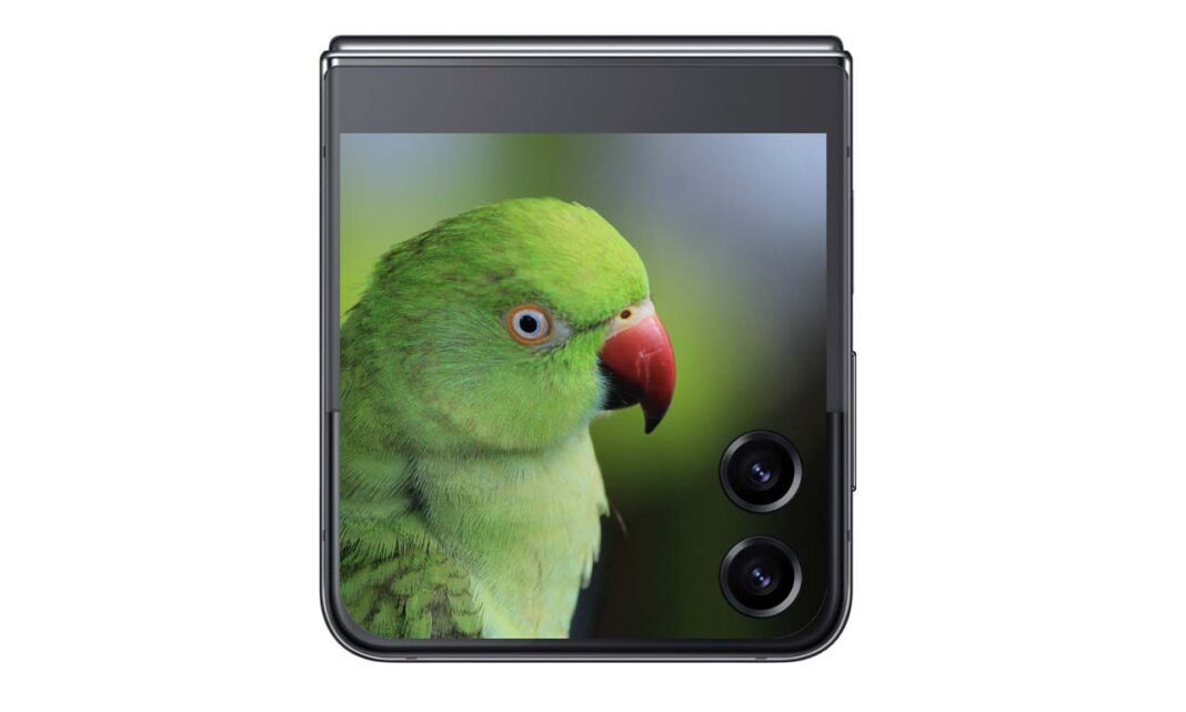 Samsung Galaxy Z Flip 5 External Display