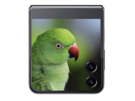 Τεράστια εξωτερική οθόνη το Samsung Galaxy Z Flip 5 με αναλογία σχεδόν 1:1 Samsung Galaxy Z Flip 5 External Display