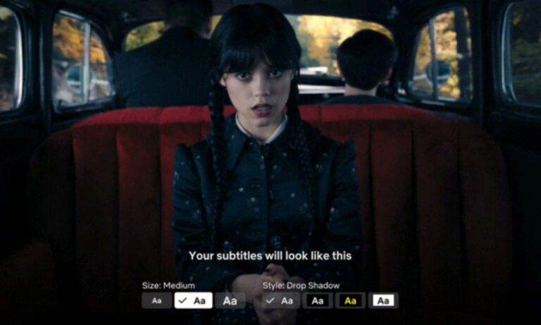 Netflix Subtitles