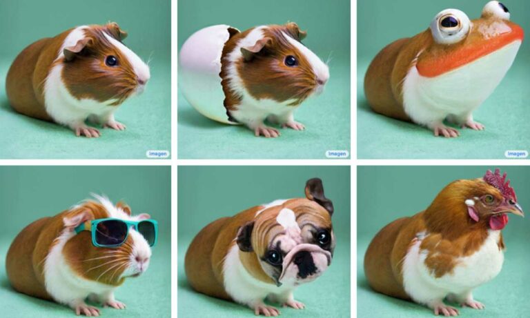 Google Imagen Editor