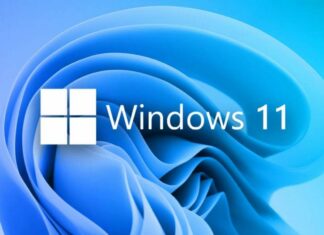 windows 11