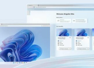 windows 11