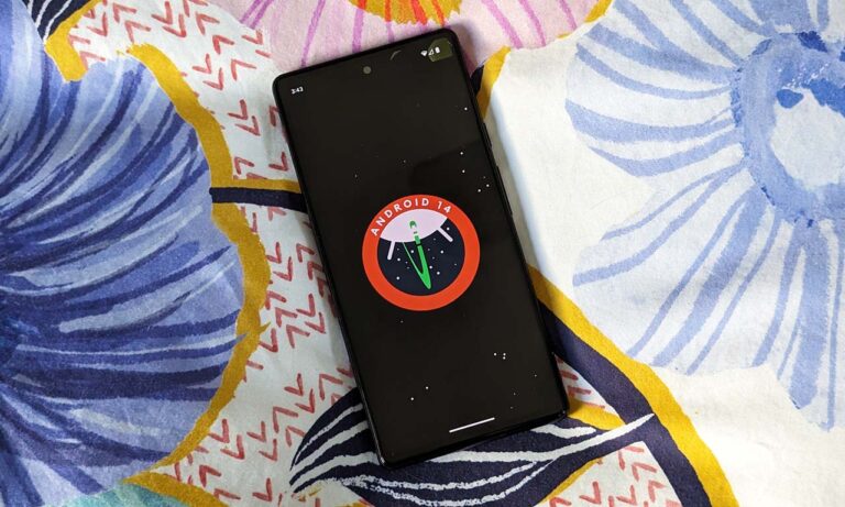 Android 14 easter egg