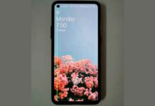 oneplus green lines