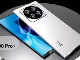 Vivo X100