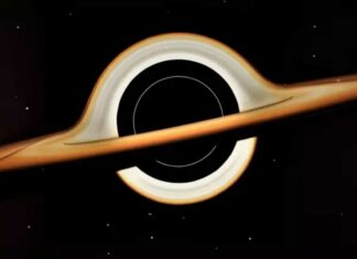 Stephen Hawking black hole