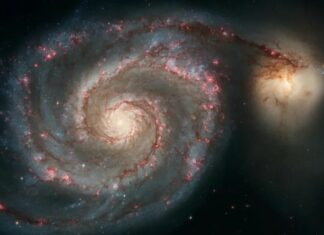 m51 companion