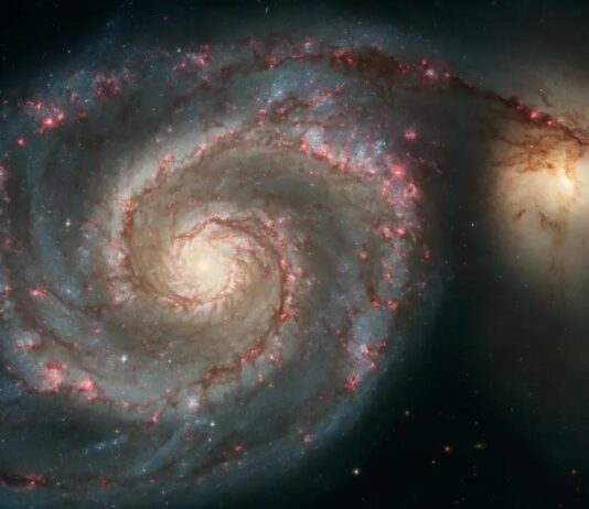 m51 companion