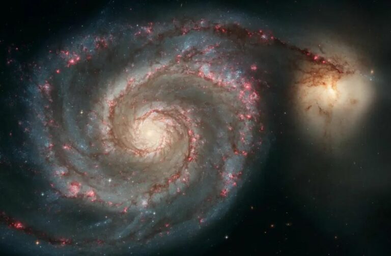m51 companion