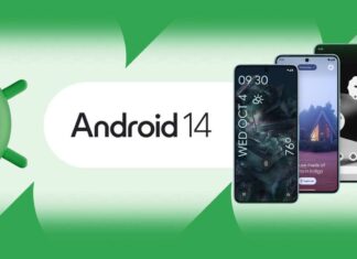 Android 14 Launch