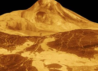 Αφροδίτη Αφροδίτης