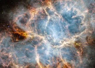 Νεφέλωμα Κάβουρα James Webb