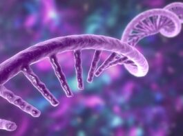 ζωή πρώιμη Γη