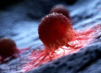 καρκίνος καρκίνου τραχήλου αντισώματος-φαρμάκου καρκίνο καρκινικά κύτταρα