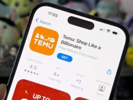 Temu Apple App Store