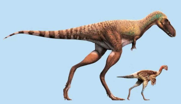 tyrannosaurs