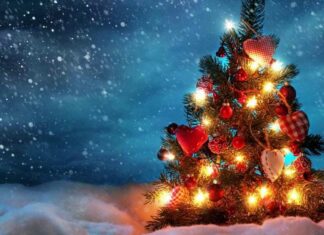 unlimited data offer