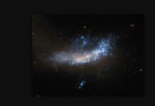 supernova