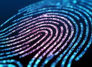 δαχτυλικά αποτυπώματα