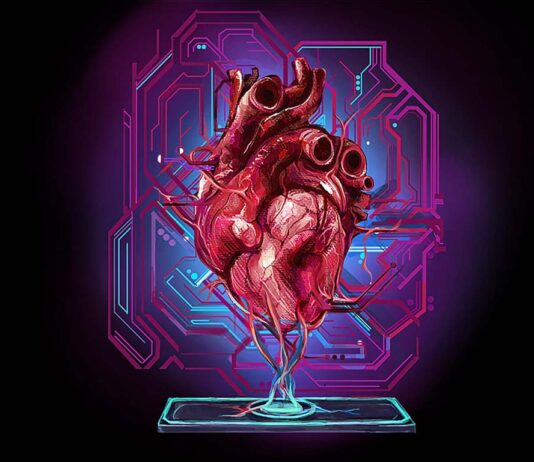 καρδιά κύτταρα chip