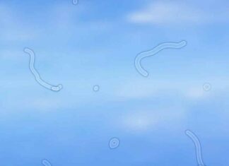 οπτικό πεδίο