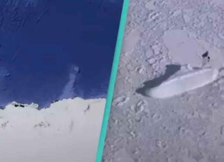google earth