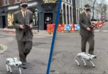Vision Pro Robodog