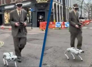 Vision Pro Robodog