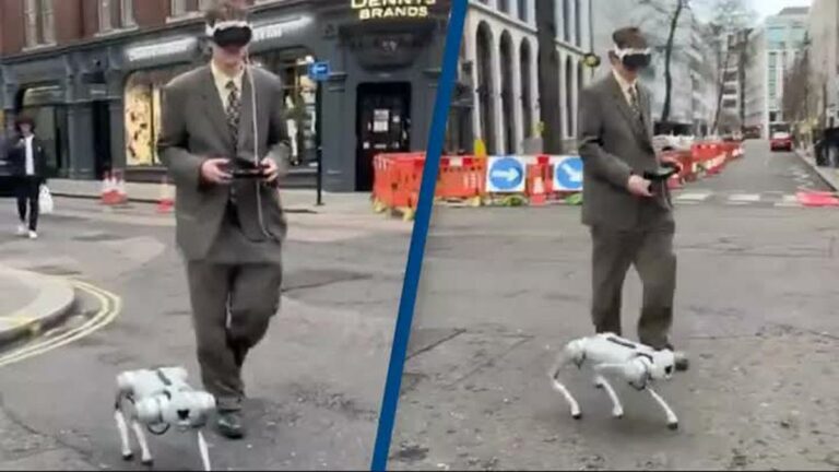 Vision Pro Robodog