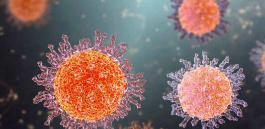 οβελίσκοι πεπτικό άνθρωπος