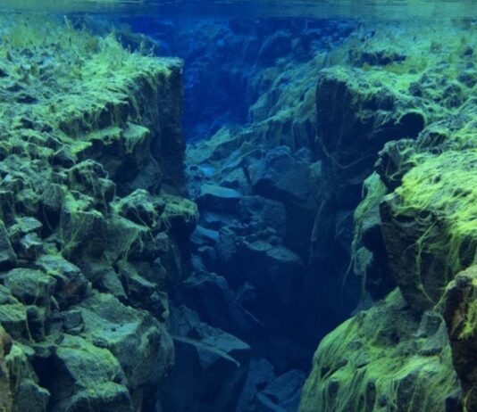 Κάναμε λάθος για την κίνηση του φλοιού της Γης, σύμφωνα με νέα έρευνα τεκτονική πλακών τεκτονικές πλάκες