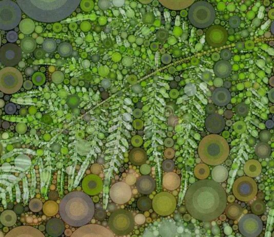 φτέρη ζόμπι