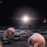 Beresheet tardigrades MOON