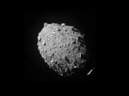 Αστεροειδής Αστεροειδή θεμελιώδους δύναμης