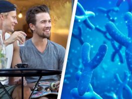 χρωμόσωμα Y