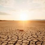 drought-free-photo