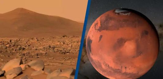 Άνθρωπος Άρη