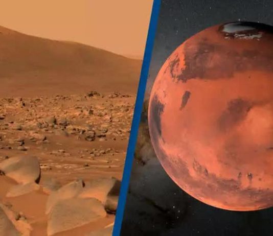 Άνθρωπος Άρη