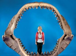 Σε αυτό το μέρος της Γης δεν υπάρχει χρόνος! Γιατί συμβαίνει