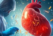 microplastics heart μικροπλαστικά εγκέφαλο καρδιά πόδια θρόμβους αίματός