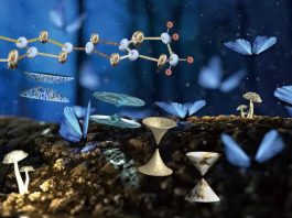 Ο κομήτης του διαβόλου σε τροχιά με τη Γη ορατός με γυμνό μάτι στις 30 Μαρτίου