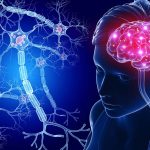 Brain Acidity Neurological Disorders