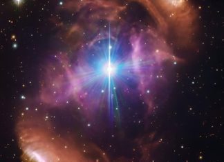 Αυγό του Δράκου