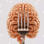 Fasting Human Brain