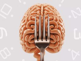 Η νηστεία επηρεάζει τον εγκέφαλο προκαλώντας δυναμικές αλλαγές νηστεία εγκέφαλος