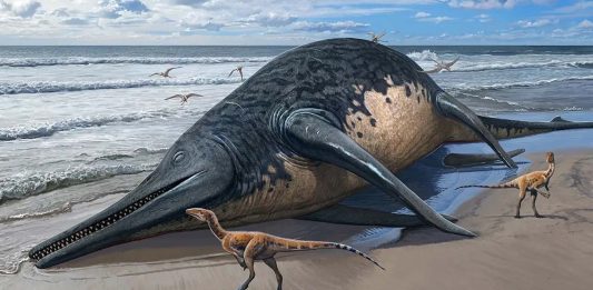 Το τέρας του Λίλστοκ είναι το μεγαλύτερο θαλάσσιο ερπετό όλων των εποχών; Ichthyotitan severnensis