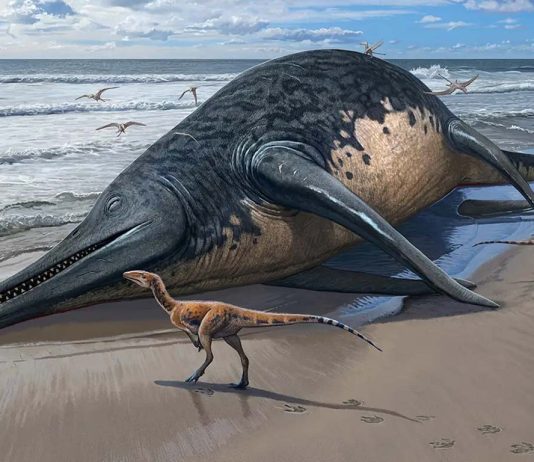 Ichthyotitan severnensis