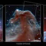 JWST The Horsehead Nebula 1