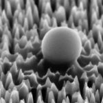 Virus Silicon